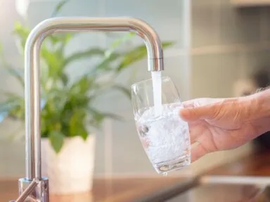 Get Clean Water: How to Remove Fluoride from Your Dallas-Fort Worth Home's Drinking Water