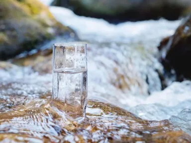 Spring Water vs. Purified Water: What's Best for Your Home?